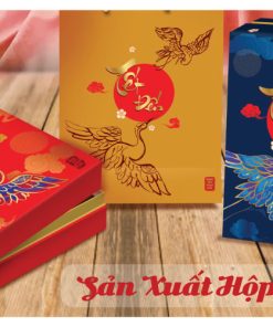 Hộp Cứng